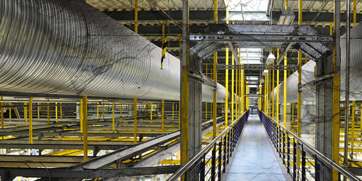 ragnatele-pericolo-salute-lavoro