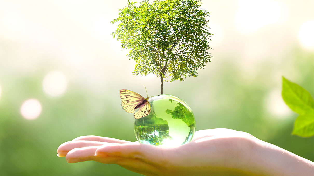 mano acqua e natura che rappresentano la sostenibilità del pianeta